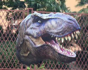 dinosauri orto Botanico