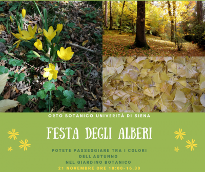 Festa alberi 21
